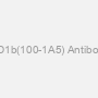 CD1b(100-1A5) Antibody
